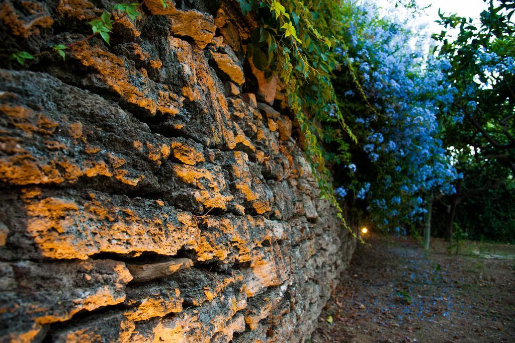 Gli Aranci Bed & Breakfast Agropoli Exterior foto