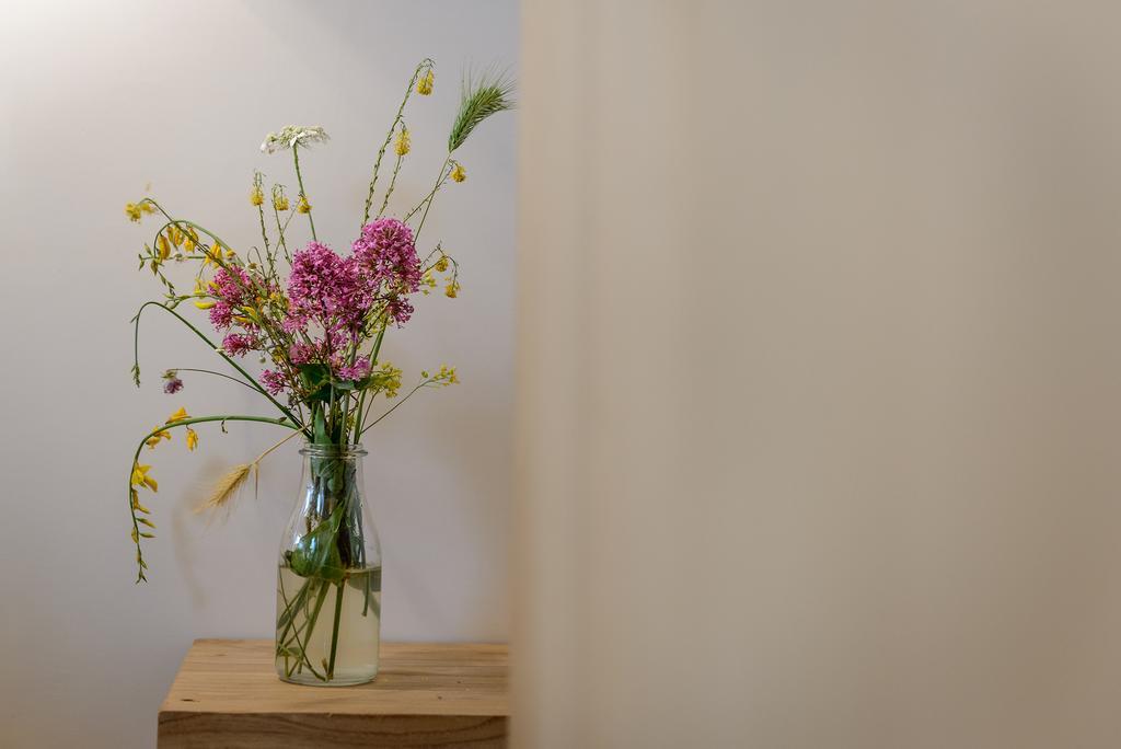 Gli Aranci Bed & Breakfast Agropoli Exterior foto